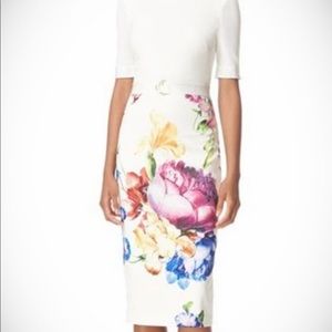 Ted Backer Aldora Tapestry Floral Belted Dress